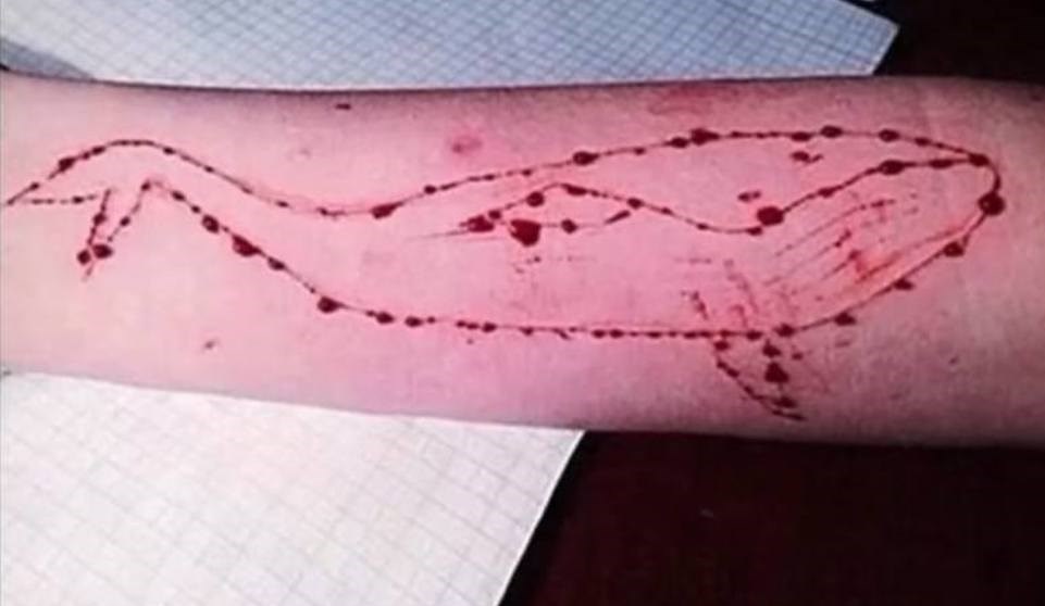 هشدار! تشویق نوجوانان به خودکشی در بازی نهنگ آبی