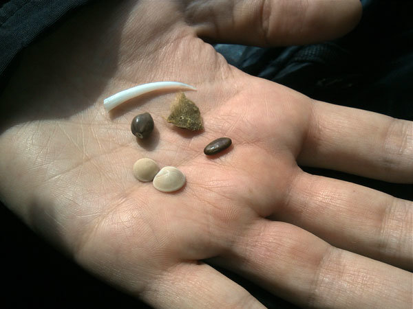 «فریال» با «مهره مار» به ایران بازگشته است!