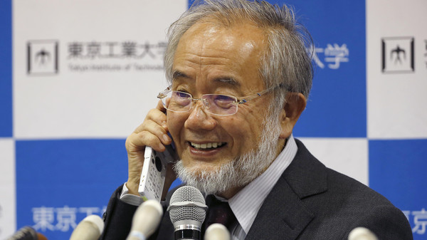 یوشینوری اوسومی از ژاپن برنده جایزه پزشکی نوبل شد