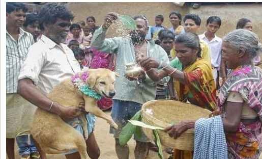 ازدواج دختر جوان با سگ ولگرد برای رهایی از بدشانسی! (+تصاویر) 