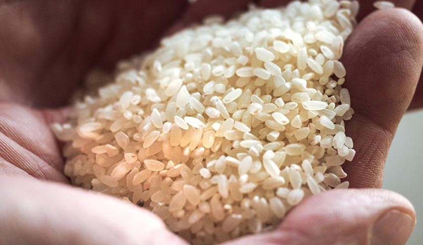 روش تشخیص برنج تقلبی از برنج طبیعی