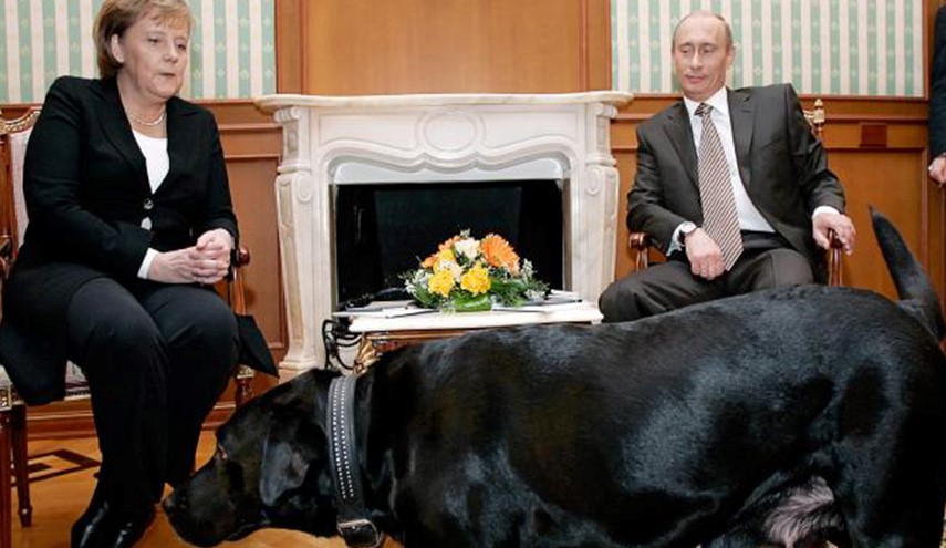 آنچه باید درباره سگ سیاه و عجیب پوتین بدانید