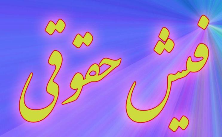 دسترسی هکر سایت‌های دولتی به ۳ هزار فیش حقوقی 