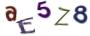 CAPTCHA ی تصویری