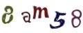 CAPTCHA ی تصویری