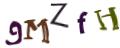 CAPTCHA ی تصویری