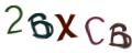 CAPTCHA ی تصویری