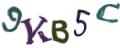 CAPTCHA ی تصویری