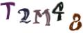 CAPTCHA ی تصویری