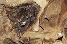 غار قلعه کرد 