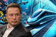 ایلان ماسک