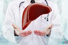 کبد