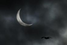 خورشیدگرفتگی