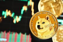 دوج کوین