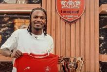 تیوی بیفوما