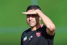 وحید هاشمیان