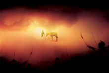 واقعه عاشورا