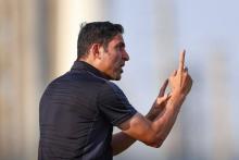 وحید هاشمیان