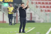 امیر قلعه نویی 