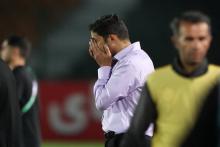 وحید هاشمیان