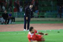 وحید هاشمیان