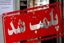 پلمپ 