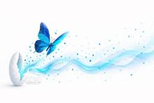 داده پردازی فن&zwnj;آوا