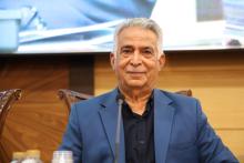 محمدرضا بهرامن