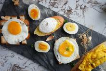 تغذیه 