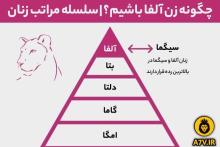 تولد