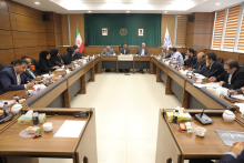 دانش بنیان