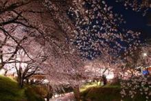 9 شهر مناسب برای زندگی در جهان