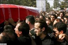 وقتی پارازیت جای رنگین کمان را گرفت و با اطمینان گفتند مفید هم است!