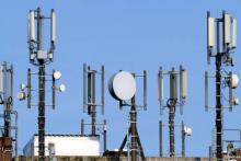 پارازیت نه؛ با سرطان به جنگ تهاجم فرهنگی نروید! 