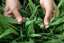 توصیه&lrm;ی فیس بوکی ابتکار به مشتاقان سیزده بدر!