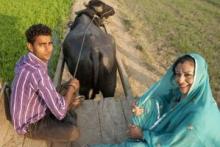 سرنوشت عشق اینترنتی خانم مدرن آمریکایی با روستازاده‎ی هندی (+تصاویر)