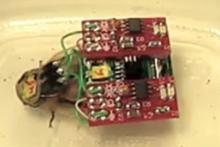 کنترل از راه دور سوسک با موبایل +عکس