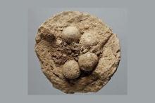 نخستین CD در تاریخ بشریت + عکسی عجیب