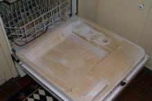 ماشین‎های ظرف شویی بستر مناسبی برای قارچ‎های بیماری‎زا