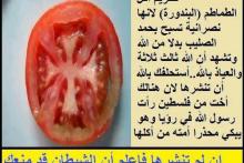 اتحادیه اسلامی مصر در فیس بوک اعلام کرد:  گوجه فرنگی مسیحی است و خوردنش حرام!