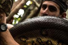 فیلم/ دروغ بزرگ دیسکاوری، مار مرد داوطلب را نبلعید!