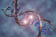 پیش بینی زمان مرگ با "دی. ان. ای" !