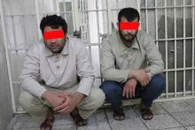 دوستی وایبری با قتل پایان یافت (+تصاویر)