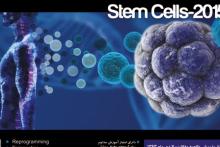 نخستین &laquo;کنگره بین&zwnj;المللی سلول&zwnj;های بنیادی و پزشکی بازساختی&raquo; برگزار می&zwnj;شود