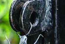 پلمپ رستوران سروکننده گوشت انسان