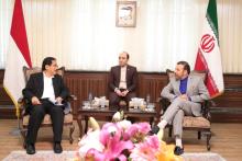 آغاز بکار یازدهمین اجلاس کمیسیون مشترک همکاری‌های اقتصادی ایران و اندونزی 