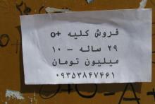 یک قدم تا برچیدن بازار سیاه کلیه فروشی