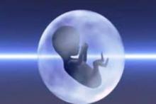 تاثیر امواج موبایل بر سقط جنین زنان باردار