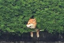 پربازدیدترین عکس توئیتر در روزهای اخیر