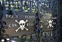 10 مکان مخوف در دنیا که جرات حضور در آنها را ندارید! (+تصاویر)